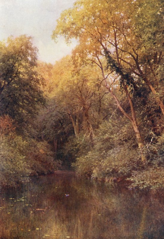 The Silent Pool, Albury (barevná litografie) od Harold Sutton Palmer