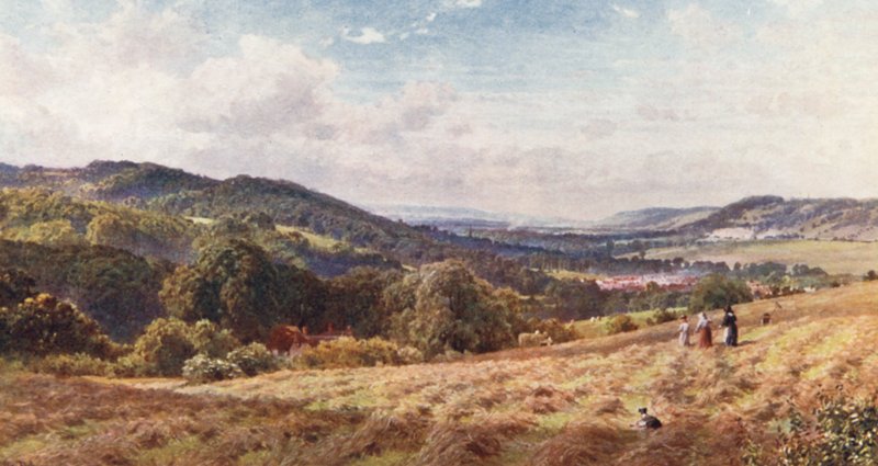 The Vale of Dorking (barevná litografie) od Harold Sutton Palmer