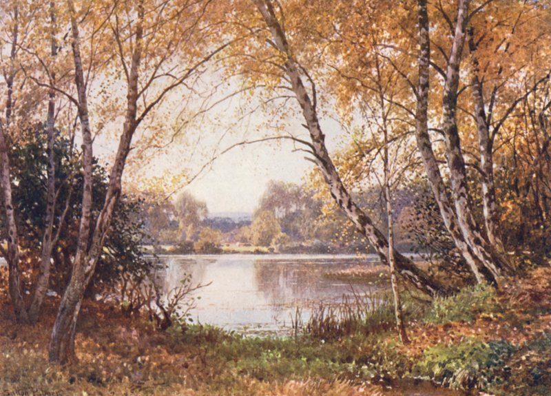The Verge of the Pond, Royal Common (barevná litografie) od Harold Sutton Palmer