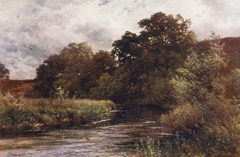 Řeka Wey u Hankley Common nedaleko Tilfordu (barevná litografie) od Harold Sutton Palmer