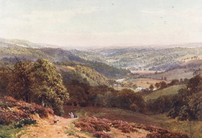 Údolí Albury, z kopce svaté Marty (barevná litografie) od Harold Sutton Palmer