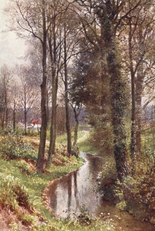 Water Lane, poblíž East Horsley (barevná litografie) od Harold Sutton Palmer