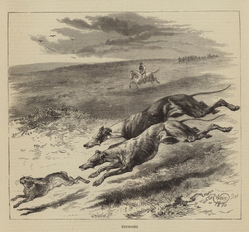 Coursing od Harrison William Weir