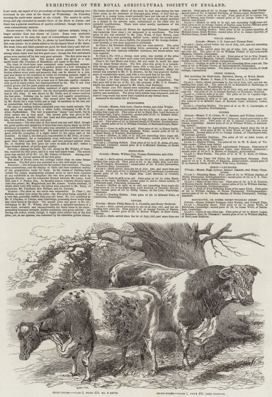 Výstava Královské zemědělské společnosti Anglie od Harrison William Weir