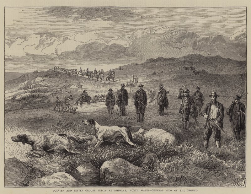 Pointer and Setter Grouse Trials at Rhiwlas, North Wales, celkový pohled na terén od Harrison William Weir