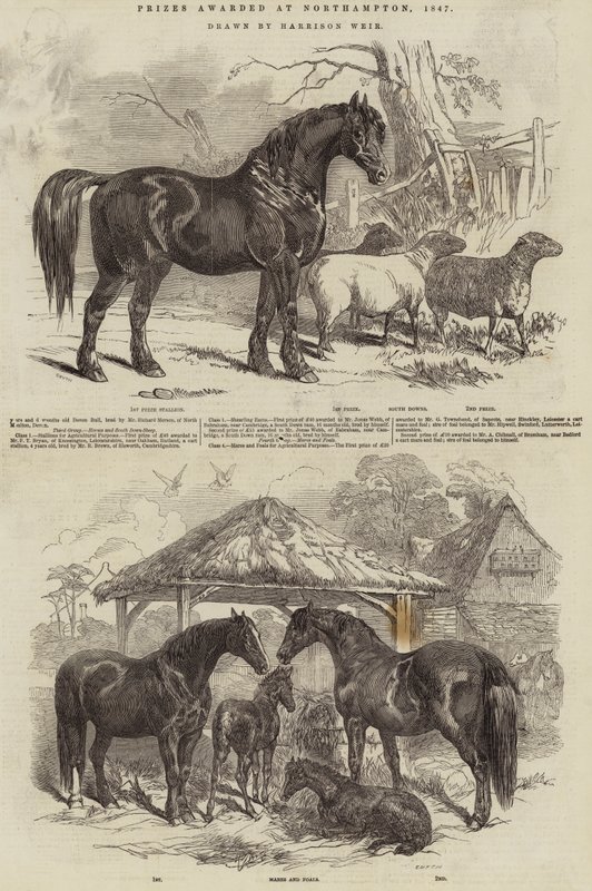 Ceny udělené v Northamptonu, 1847 od Harrison William Weir