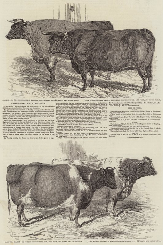 Klubová výstava dobytka Smithfield od Harrison William Weir