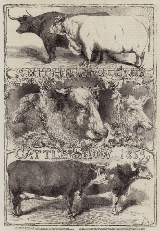 Smithfield Club Cattle Show, 1859 od Harrison William Weir