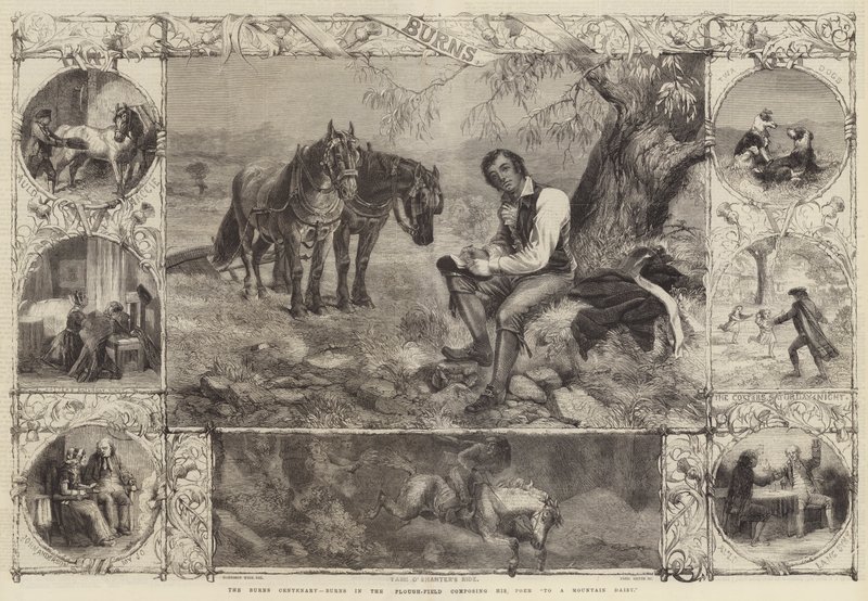 The Burns Centenary, Burns in the Pluh-Field složil svou báseň To A Mountain Daisy od Harrison William Weir