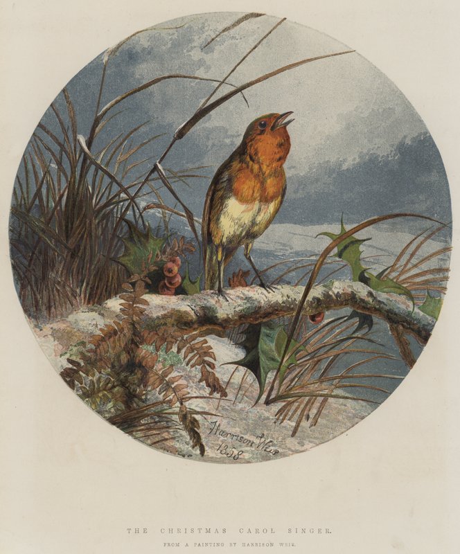 Zpěvák vánočních koled (chromolit) od Harrison William Weir