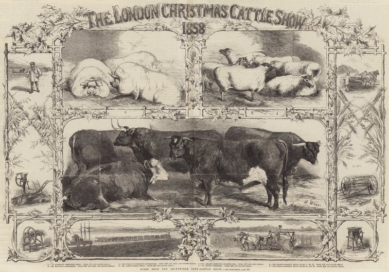 Londýnská vánoční výstava dobytka z roku 1858 od Harrison William Weir