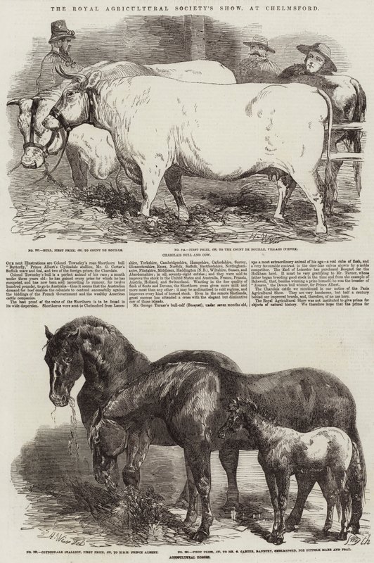 Výstava Královské zemědělské společnosti v Chelmsfordu od Harrison William Weir