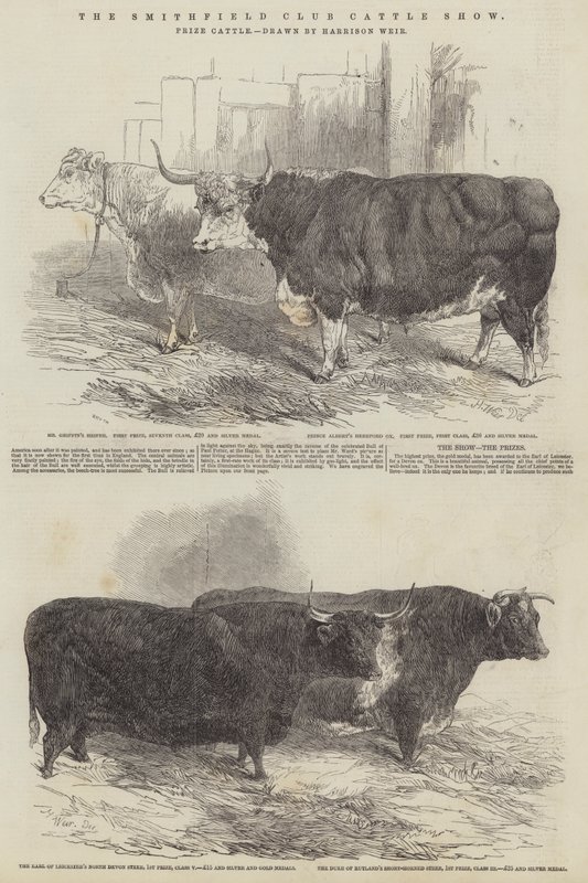 Smithfield Club Cattle Show, cena dobytka od Harrison William Weir