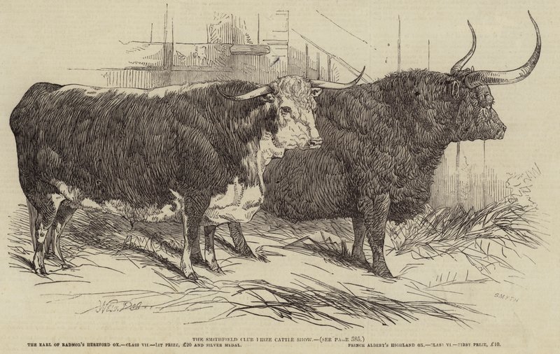 The Smithfield Club Prize Cattle Show od Harrison William Weir