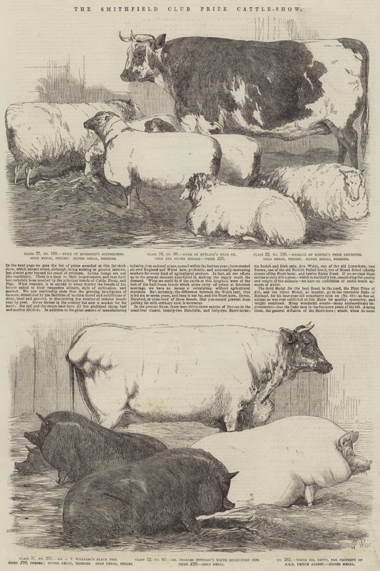 The Smithfield Club Prize Cattle-Show od Harrison William Weir