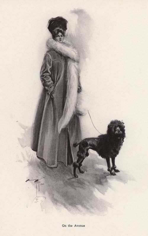 Žena v dlouhém kabátě s pudlem (litho) od Harrison Fisher