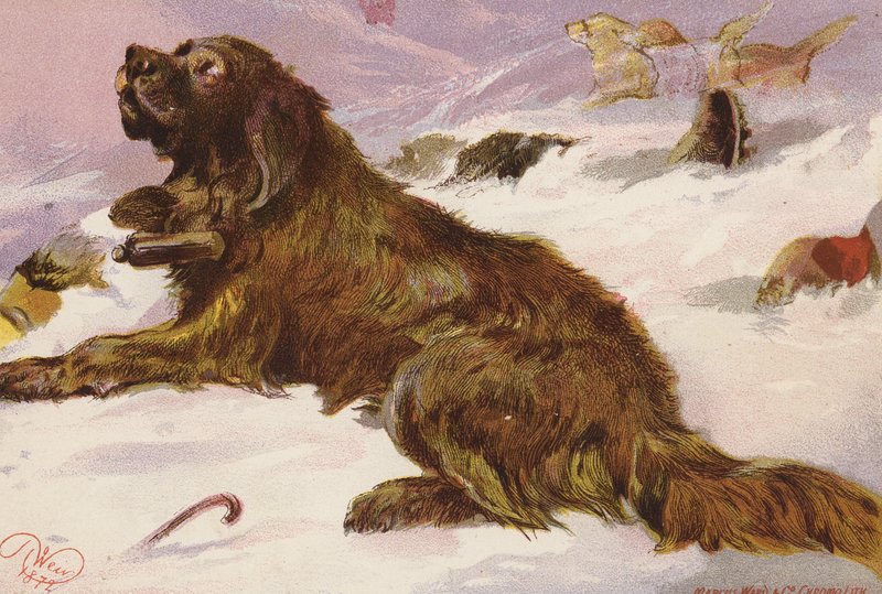 Alp zachraňuje strýčka Petra (barevná litografie) od Harrison William Weir