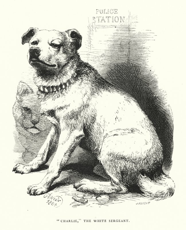 Závěsný od Harrison William Weir
