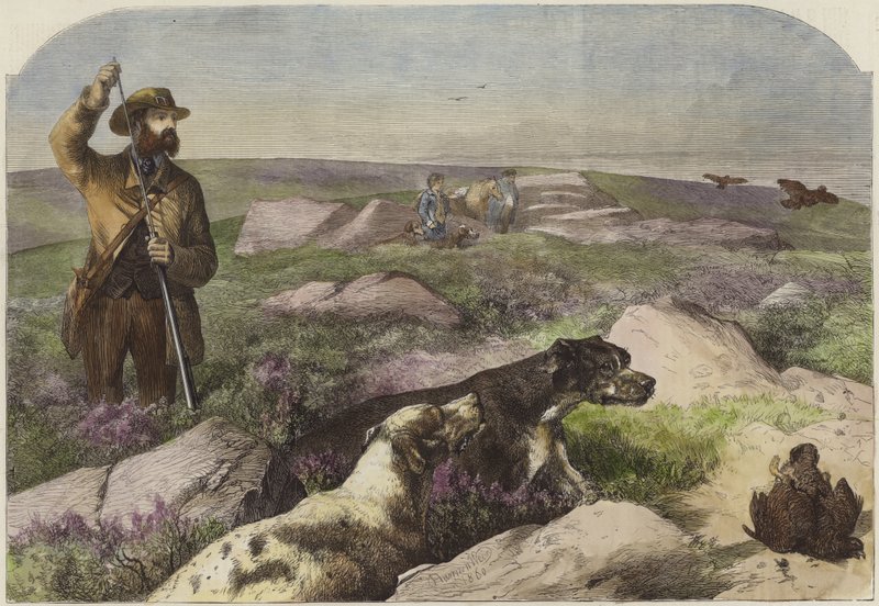 Odstřel tetřeva od Harrison William Weir
