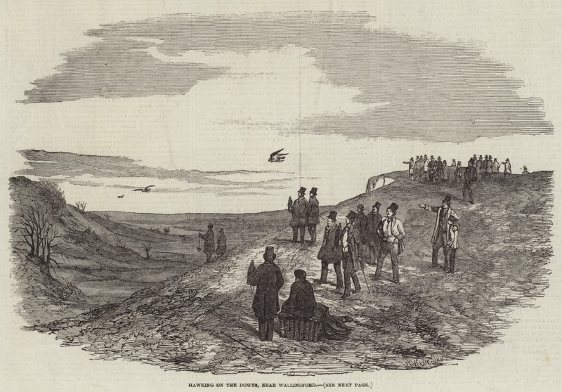 Hawking on the Downs, nedaleko Wallingfordu od Harrison William Weir