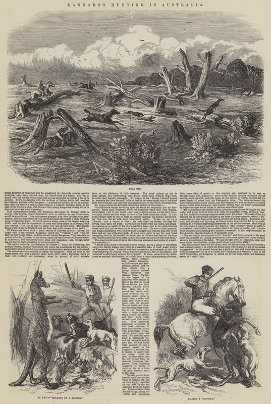 Lov klokanů v Austrálii od Harrison William Weir