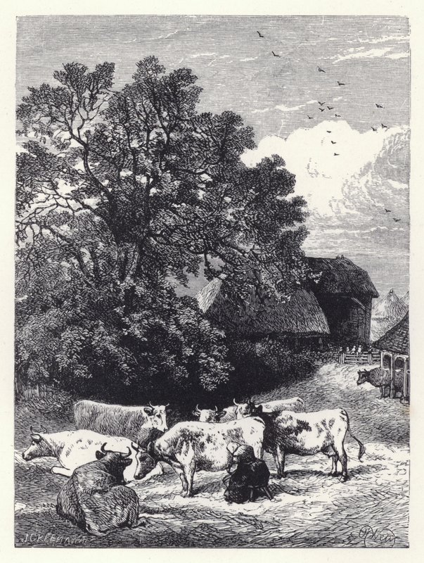 Dojení krav (rytina) od Harrison William Weir