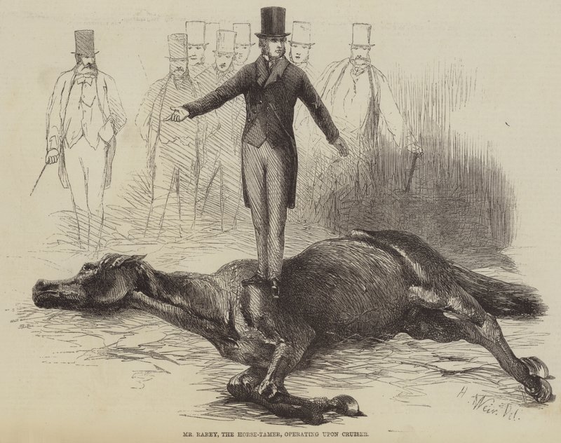 Pan Rarey, krotitel koní, operující na křižníku od Harrison William Weir