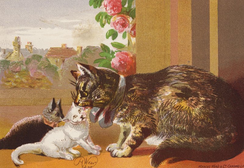 Kocour a jeho koťata (barevná litografie) od Harrison William Weir
