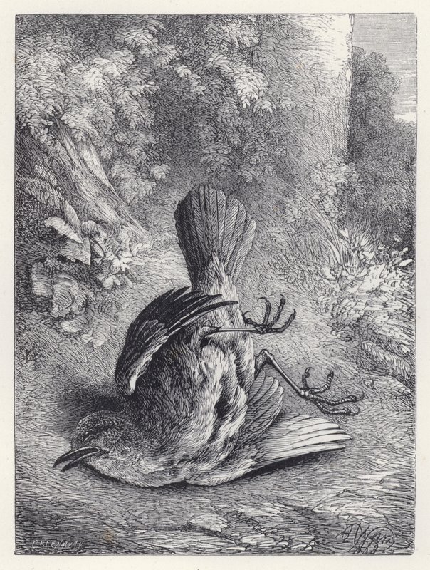 Závěsný od Harrison William Weir