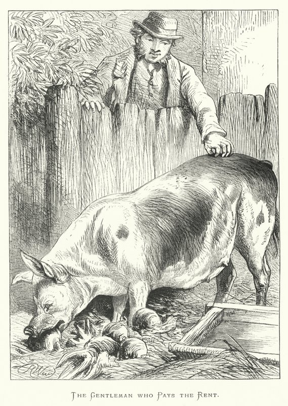 Gentleman, který platí nájem od Harrison William Weir