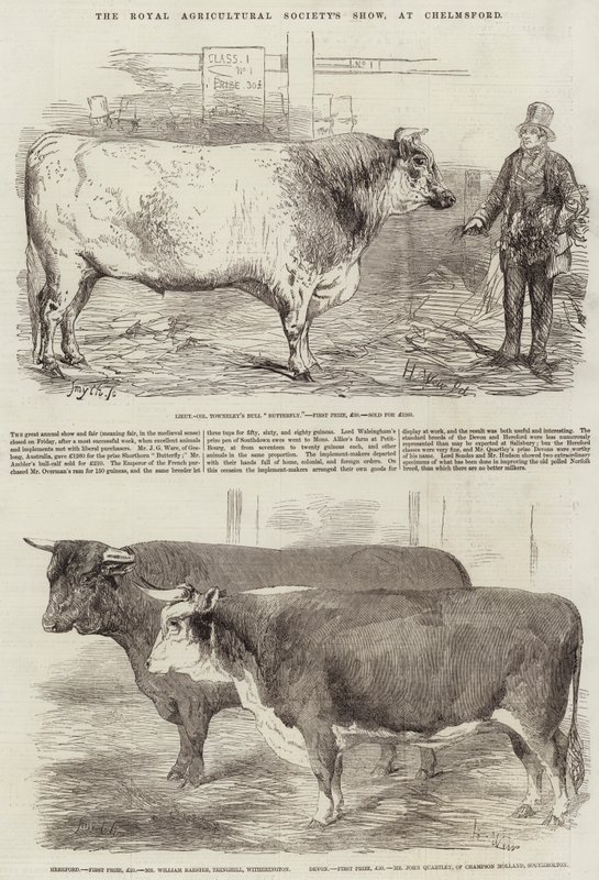 Výstava Královské zemědělské společnosti v Chelmsfordu od Harrison William Weir