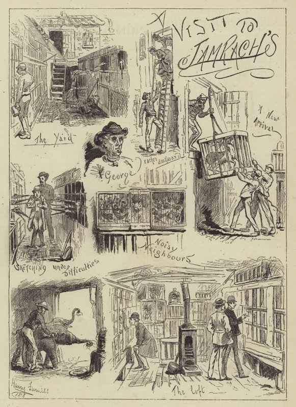 Návštěva u Jamrachů od Harry Furniss
