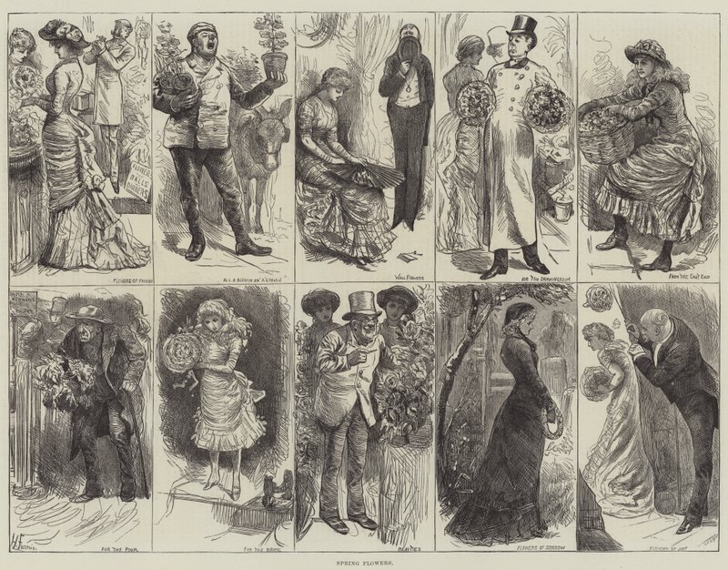 Jarní květiny od Harry Furniss