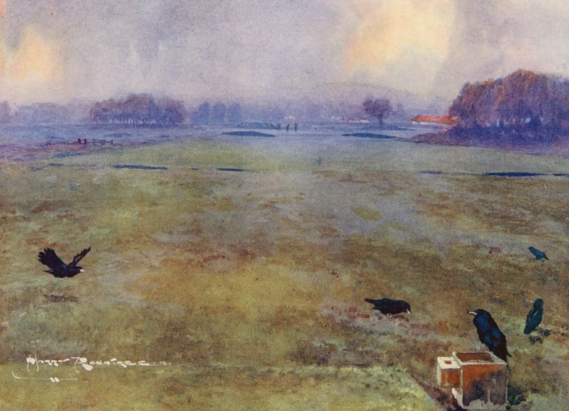 Golfová hřiště: (barevná litografie) od Harry (1878 1950) Rountree