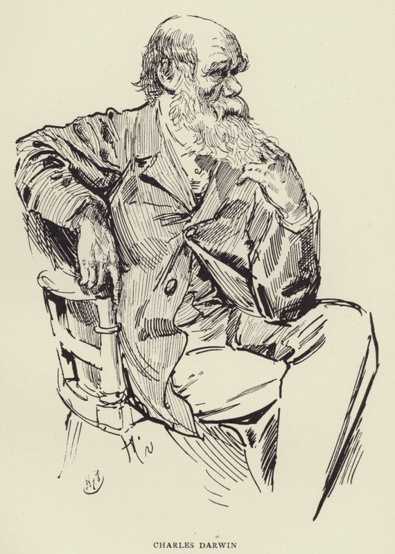 Charles Darwin od Harry Furniss
