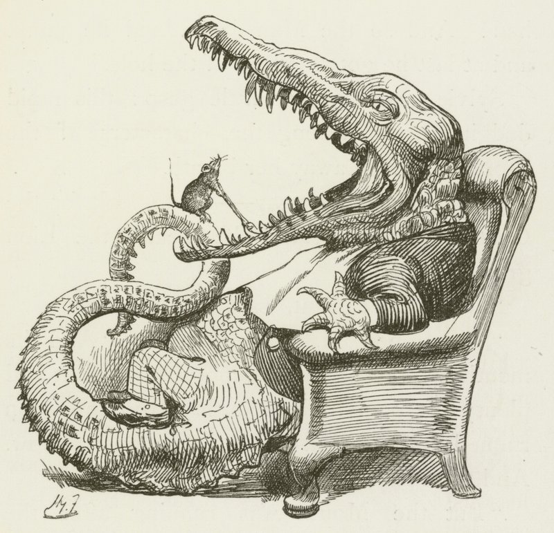 Ilustrace pro Sylvie a Bruna od Lewise Carrolla od Harry Furniss