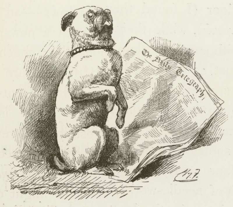Ilustrace pro Sylvie a Bruna od Lewise Carrolla od Harry Furniss