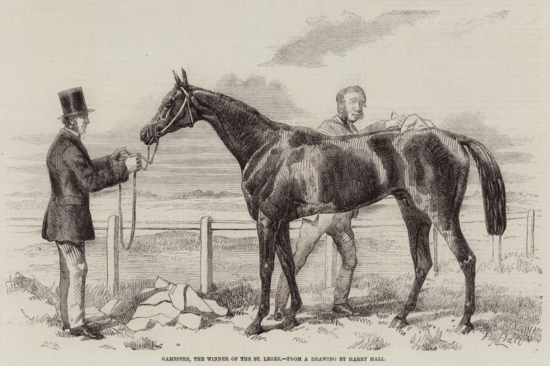 Gamester, vítěz St Leger od Harry Hall