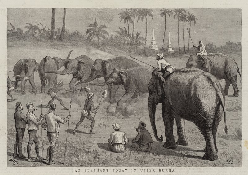 An Elephant Pooay v Horní Barmě od Harry Hamilton Johnston