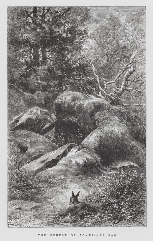 Hmyz: Les Fontainebleau (rytina) od Hector Giacomelli