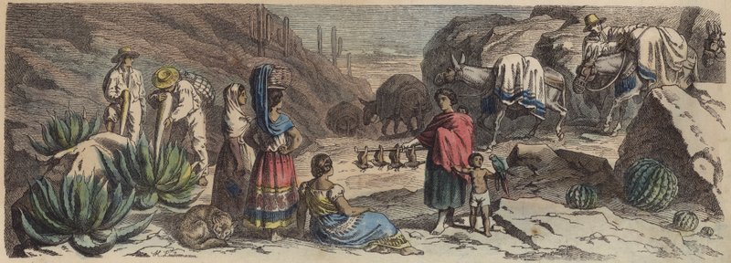 Horská cesta v Mexiku (barevná rytina) od Heinrich Leutemann