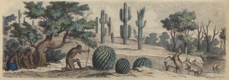Colorado (barevná rytina) od Heinrich Leutemann