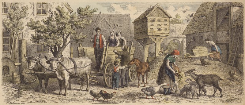 Farma v Sasku (barevná rytina) od Heinrich Leutemann