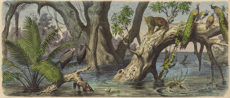 Povodeň ve východní Indii (barevná rytina) od Heinrich Leutemann