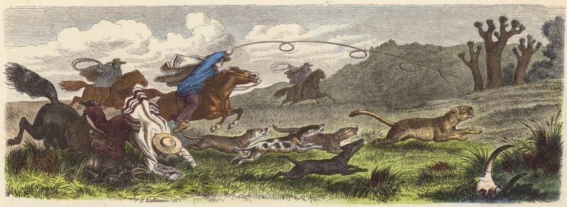Lov pumy s lasy v Brazílii (barevná rytina) od Heinrich Leutemann