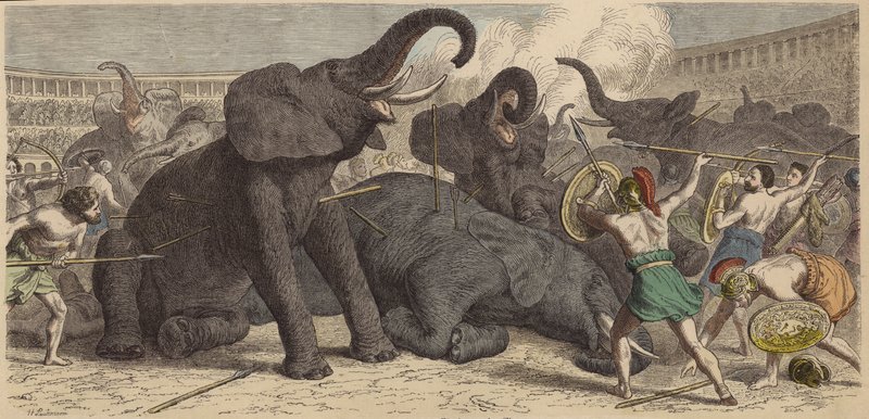 Zabíjení zajatých slonů v římské aréně od Heinrich Leutemann