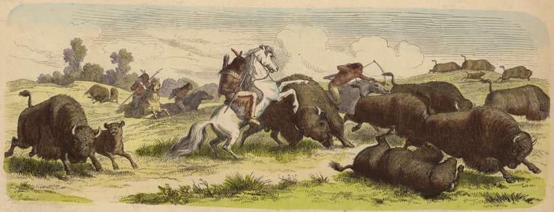 Domorodí Američané na koni loví buvoly (barevná rytina) od Heinrich Leutemann