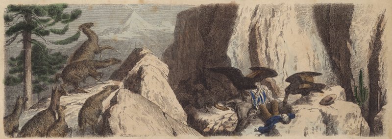 Chilské Andy (barevná rytina) od Heinrich Leutemann