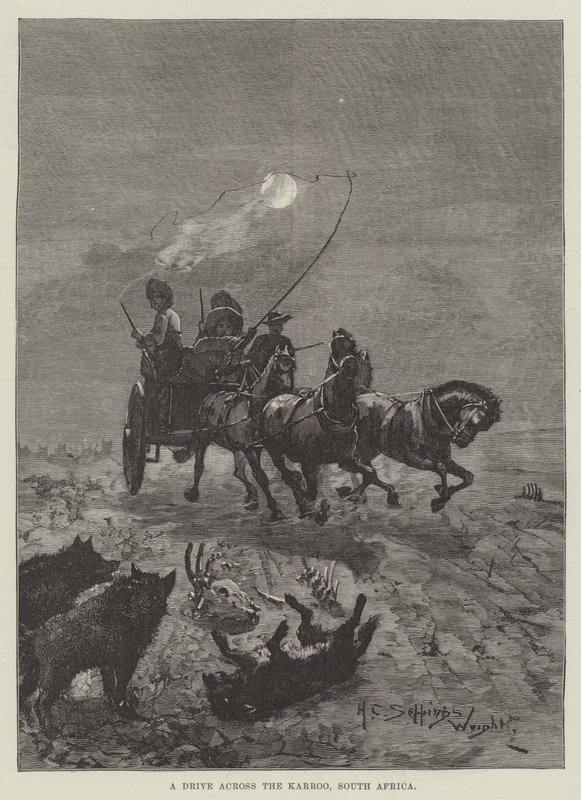 Cesta přes Karroo, Jihoafrická republika od Henry Charles Seppings Wright