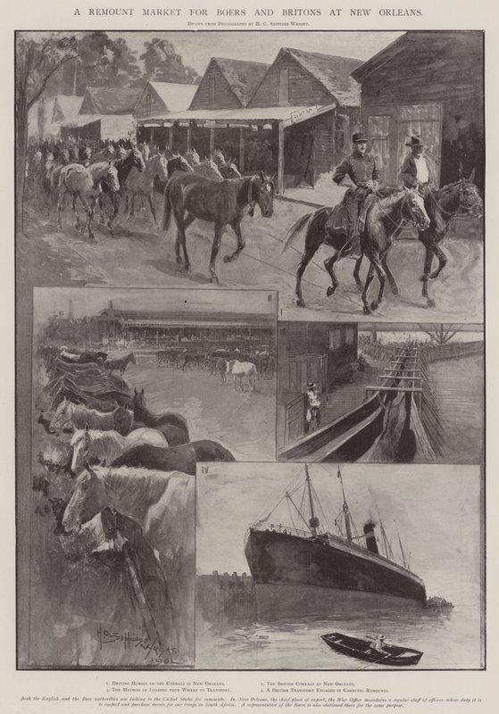 Remount Market pro Búry a Brity v New Orleans od Henry Charles Seppings Wright